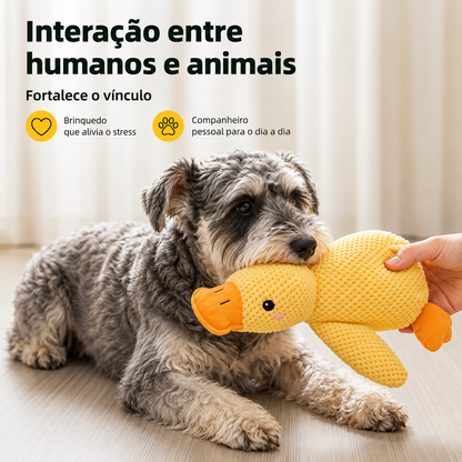 Pato Companheiro Herdeon™
