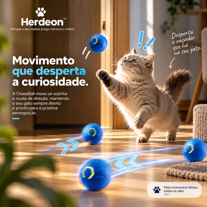 ChaseBall Herdeon™