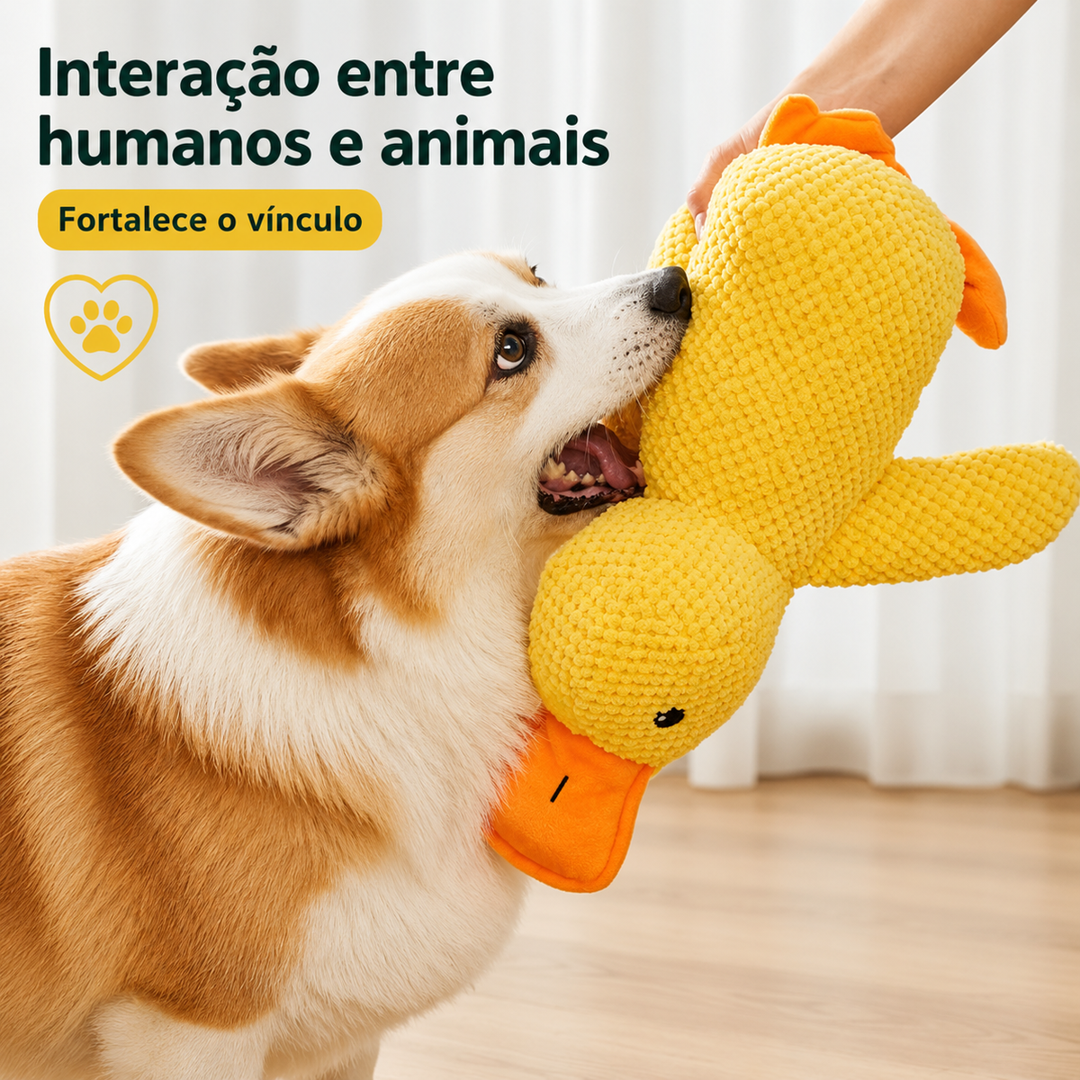 Pato Companheiro Herdeon™